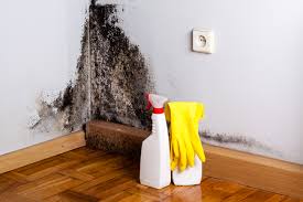 Best Environmental Consulting for Mold Prevention  in Perham, MN